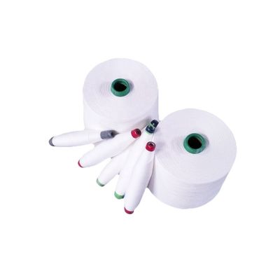 NE60s/1 70% リオセルテンセル 30% 抗菌粘性シロコンパクト糸
