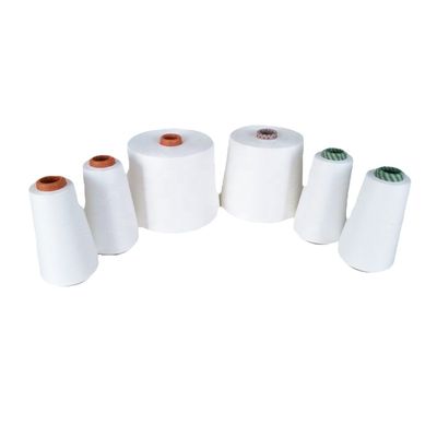 NE30/1 RING SPUN ポリエステルリオセルブレンド ニット用白糸
